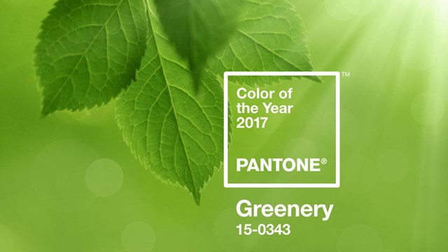Greenery wurde von Pantone zur Farbe des Jahres gewählt (Foto: Pantone)
